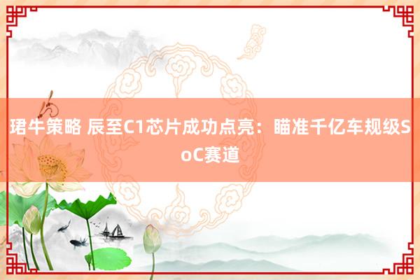 珺牛策略 辰至C1芯片成功点亮：瞄准千亿车规级SoC赛道
