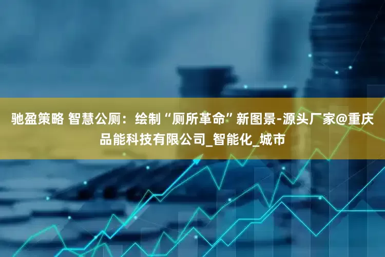 驰盈策略 智慧公厕：绘制“厕所革命”新图景-源头厂家@重庆品能科技有限公司_智能化_城市