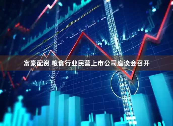 富豪配资 粮食行业民营上市公司座谈会召开