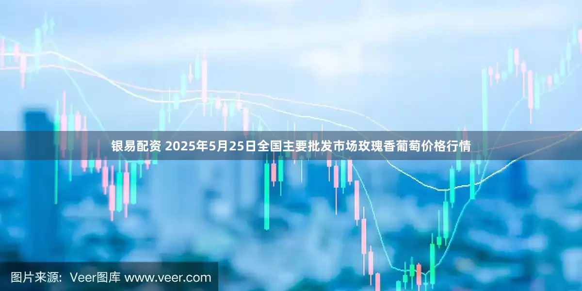 银易配资 2025年5月25日全国主要批发市场玫瑰香葡萄价格行情