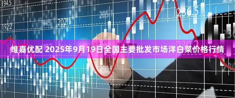 维嘉优配 2025年9月19日全国主要批发市场洋白菜价格行情